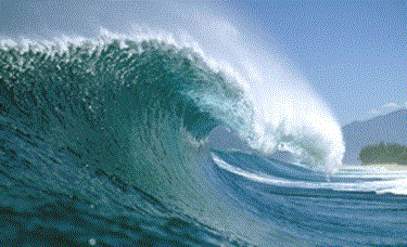 超級海風(fēng)香基