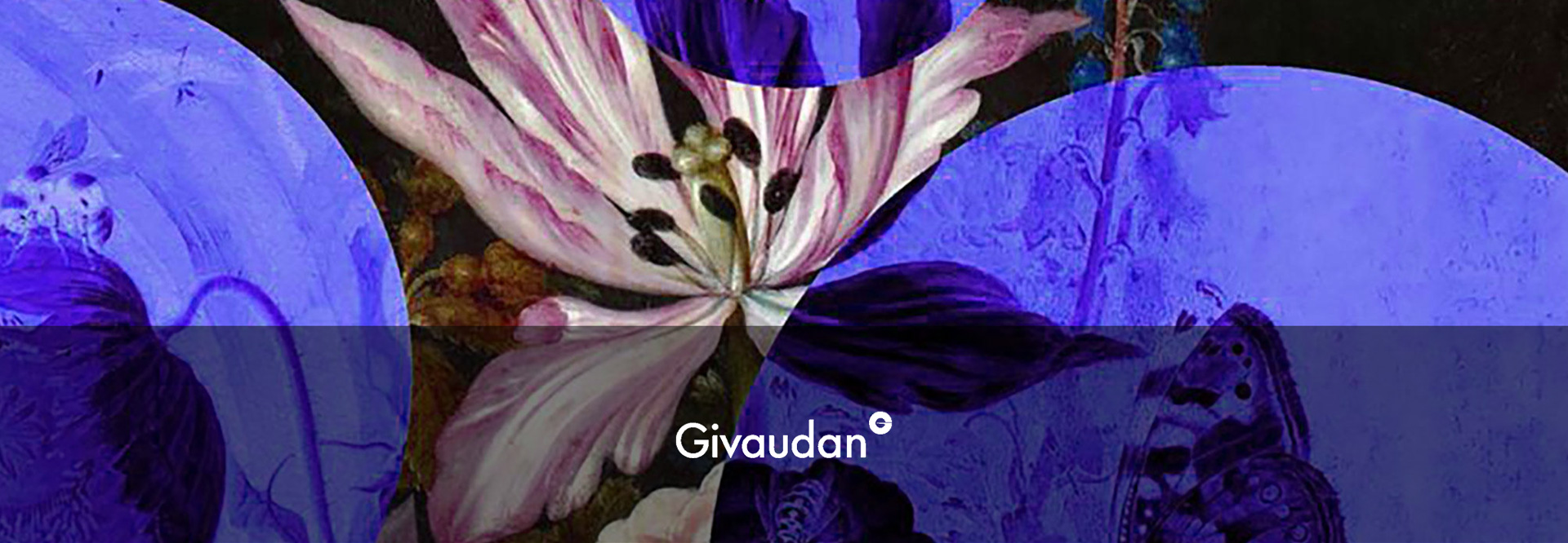 環(huán)丙基茴香醚